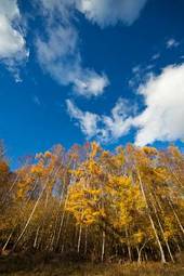 Fototapeta szczyt spokojny jesień las pejzaż