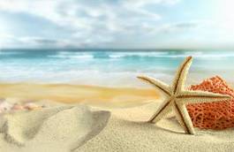 Fotoroleta rozgwiazda na piaszczystej plaży