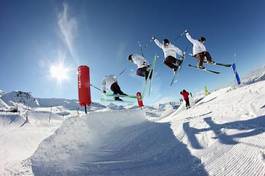 Fototapeta narciarz narty sporty zimowe ruch