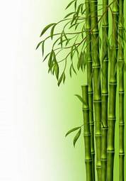 Plakat bambus las natura