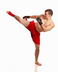 Naklejka sztuki walki bokser boks sport