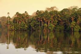 Naklejka woda dżungla łódź brazylia wakacje