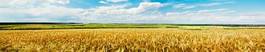 Obraz na płótnie wieś ziarno rolnictwo panoramiczny