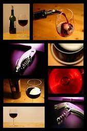 Fotoroleta dąb winnicy pitnej wino