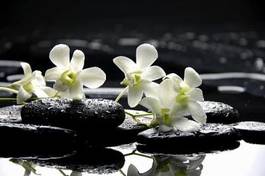 Fotoroleta medytacyjne kamienie i orchidee