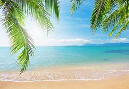 Naklejka palma na tropikalnej plaży