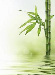 Fotoroleta bambus azja spokojny