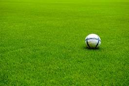 Obraz na płótnie trawa sport boisko stadion piłka nożna