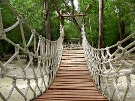 Obraz na płótnie most dżungla klif natura stary