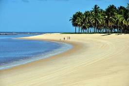 Naklejka fala brazylia egzotyczny wybrzeże