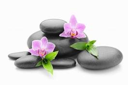 Obraz na płótnie zen zdrowy masaż