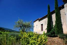 Obraz na płótnie prowansja dom cyprys drzewo oliwne