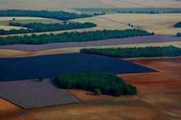 Fotoroleta pole prowansja krajobraz rolnictwo