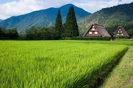 Plakat japonia krajobraz wiejski