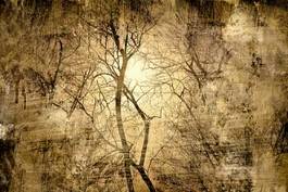 Plakat antyczny drzewa słońce retro