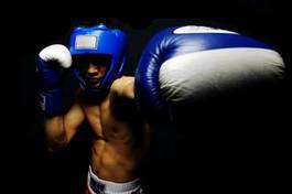Obraz na płótnie portret boksera