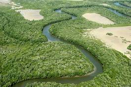 Fotoroleta brazylia woda tropikalny natura