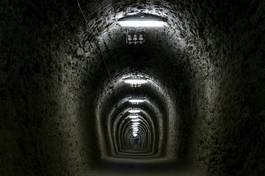 Fotoroleta ścieżka tunel perspektywa dziwny brązowy