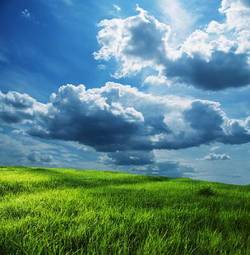 Obraz na płótnie rolnictwo niebo świeży