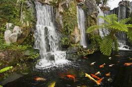 Fotoroleta świątynia japoński wodospad ryba