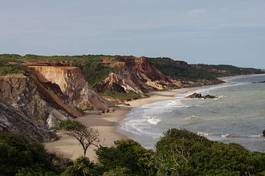 Fototapeta roślinność morze plaża brazylia