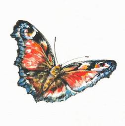 Plakat sztuka natura dziki lato motyl