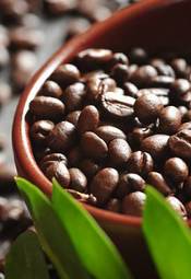 Naklejka ziarno kawa afryka upraw liść
