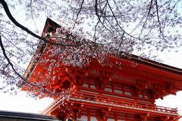 Naklejka architektura japoński zen natura