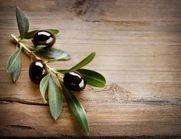 Naklejka oliwna gałązka na drewnianym tle