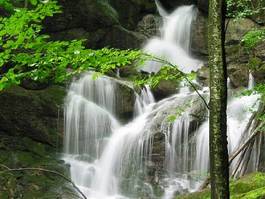Naklejka natura woda wodospad wellnes chłodzenie
