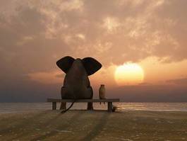Plakat słoń i pies razem na letniej plaży