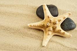 Obraz na płótnie plaża brzeg gwiazda