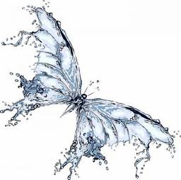 Naklejka lato sztuka woda motyl ruch