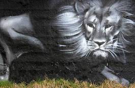 Plakat lew graffiti król