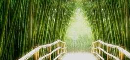Naklejka bambusowa aleja