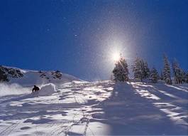 Fotoroleta sport słońce narty