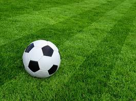 Obraz na płótnie sport europa piłka boisko trawa