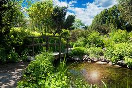 Naklejka ogród ogród japoński krajobraz japoński roślina
