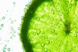 Fotoroleta cytrus woda owoc jedzenie natura