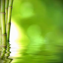 Plakat orientalne bambus woda