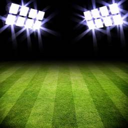 Obraz na płótnie trawa stadion piłkarz sport pole