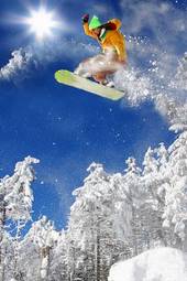Fotoroleta narty drzewa sport narciarz