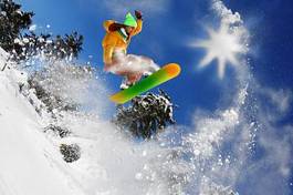 Fotoroleta zabawa snowboarder drzewa narty