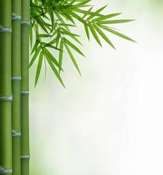 Naklejka natura roślina zen bambus wzór