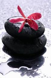 Naklejka stos z kamieniami ze, czerwony kwiat i krople deszczu