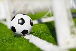 Fototapeta stadion trawa piłka nożna sport boisko piłki nożnej