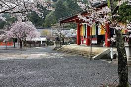 Naklejka azja drzewa japonia ogród azjatycki