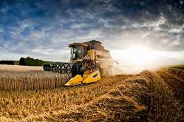 Plakat pole traktor filiżanka rolnictwo pszenica