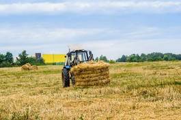Naklejka rolnictwo traktor siano pole