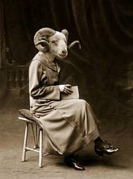 Obraz na płótnie owca antyczny vintage